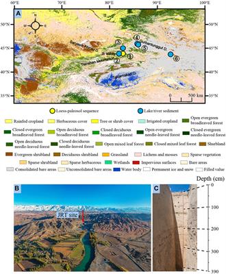 Vegetation history and its links to climate change during the last 36 ka in arid Central Asia: Evidence from a loess-paleosol sequence in the Eastern Ili Valley